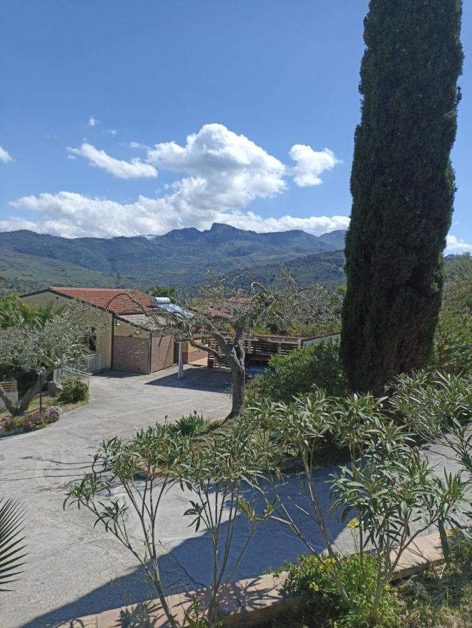 Casa Delle Palme Διαμέρισμα Cefalù Εξωτερικό φωτογραφία