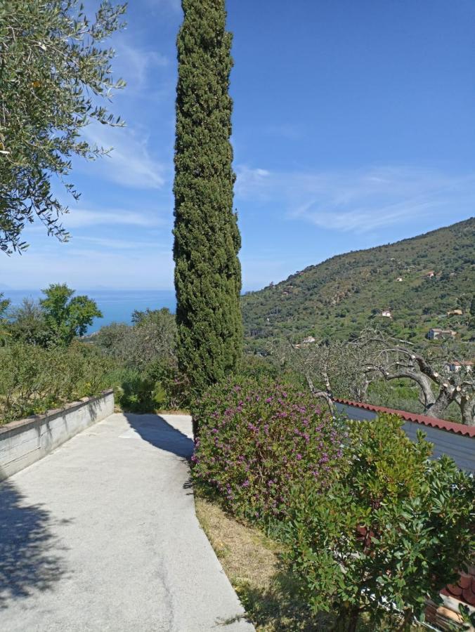Casa Delle Palme Διαμέρισμα Cefalù Εξωτερικό φωτογραφία