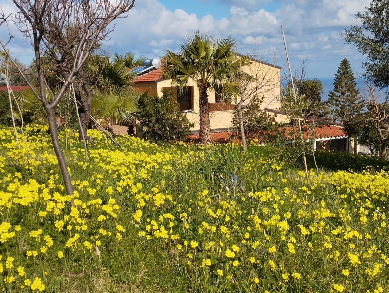 Casa Delle Palme Διαμέρισμα Cefalù Εξωτερικό φωτογραφία