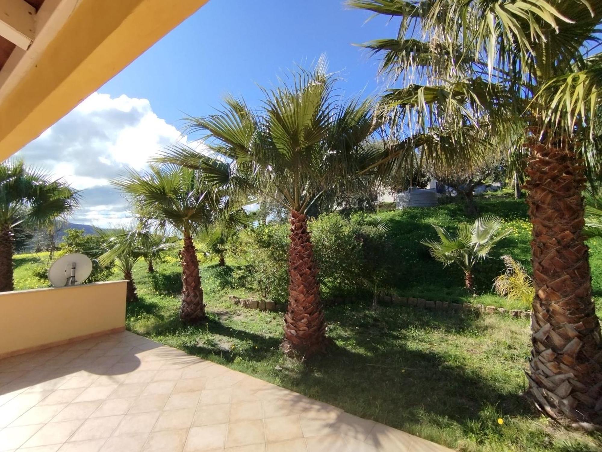 Casa Delle Palme Διαμέρισμα Cefalù Εξωτερικό φωτογραφία