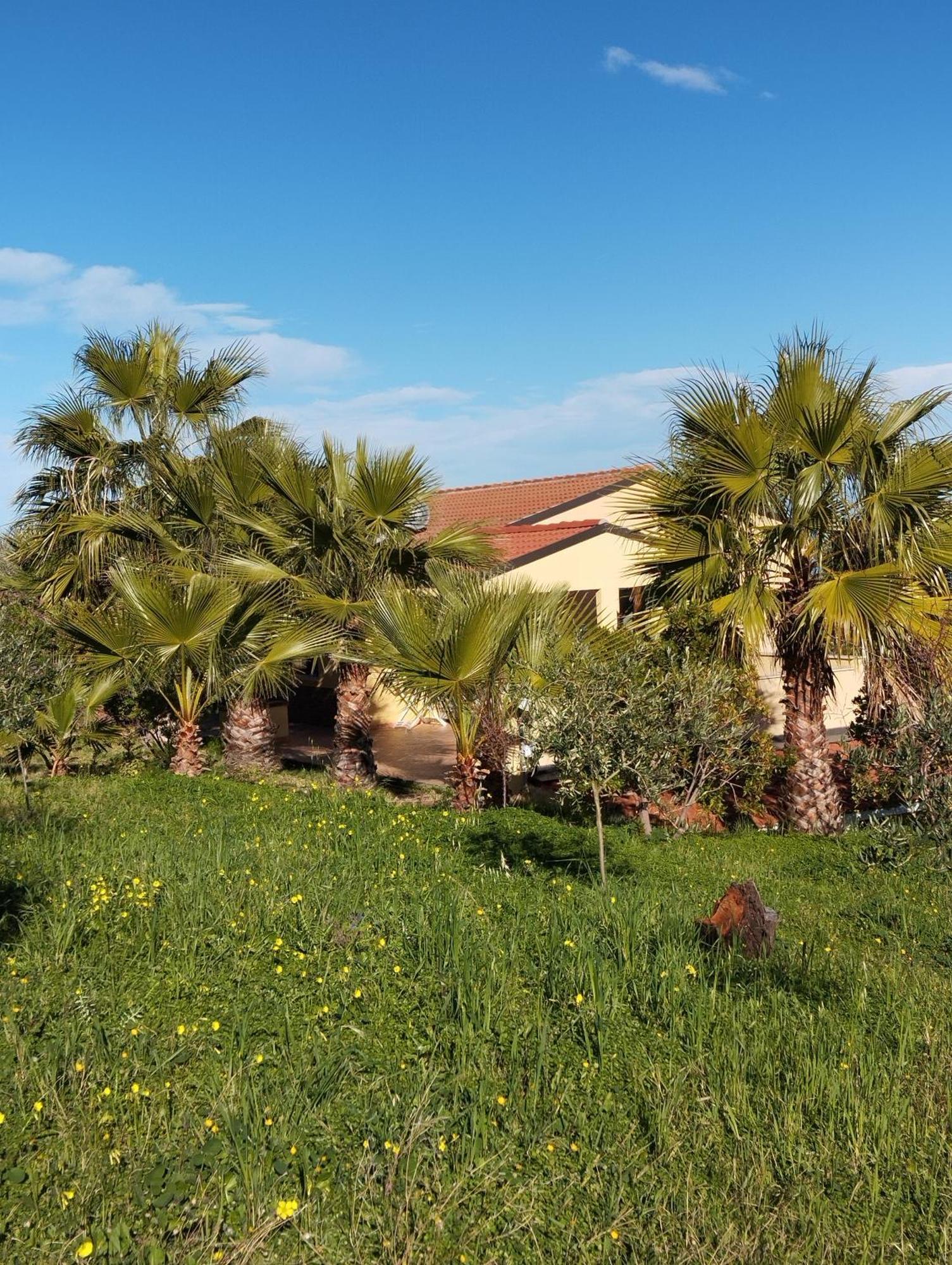 Casa Delle Palme Διαμέρισμα Cefalù Εξωτερικό φωτογραφία